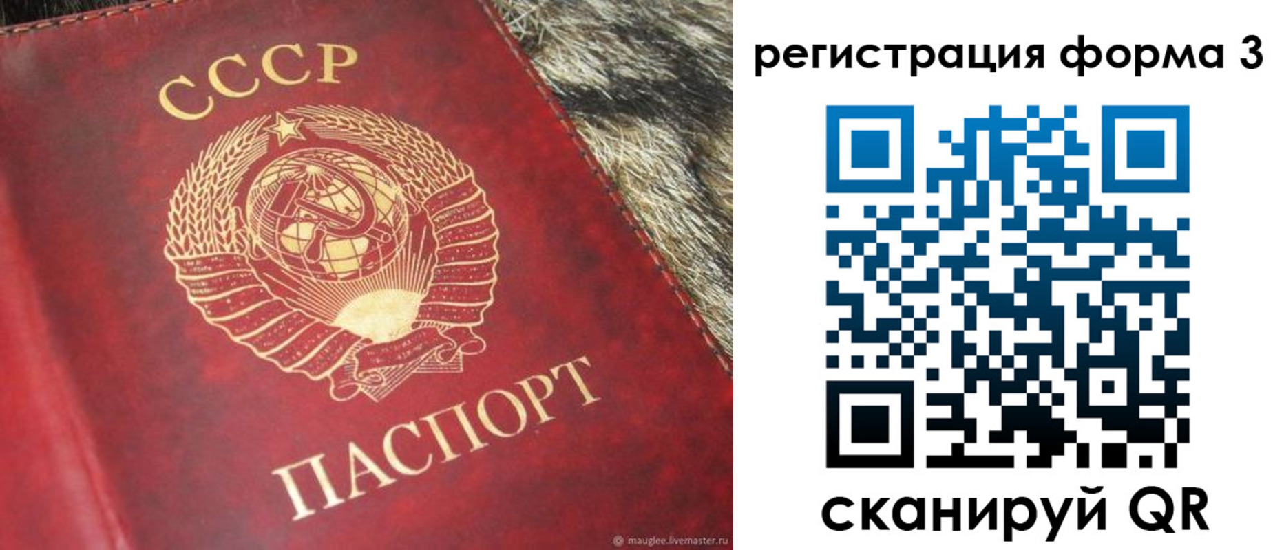 прописка регистрация в Фрязино